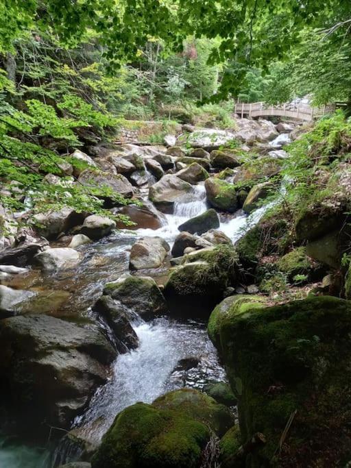 Gite L'Enclos O Rendez-Vous Roquefeuil-Pays De Sault- Avec Jardin Ngoại thất bức ảnh