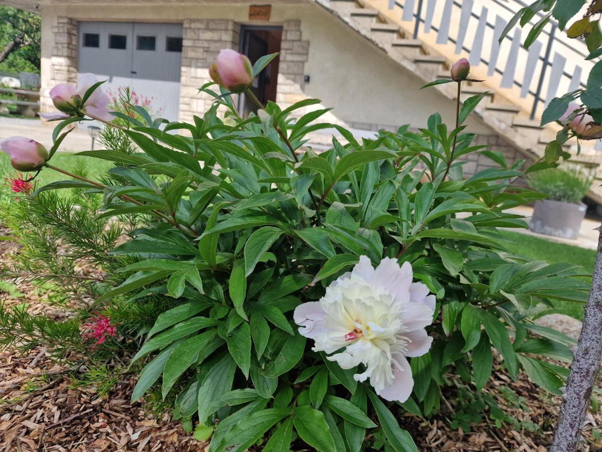 Gite L'Enclos O Rendez-Vous Roquefeuil-Pays De Sault- Avec Jardin Ngoại thất bức ảnh