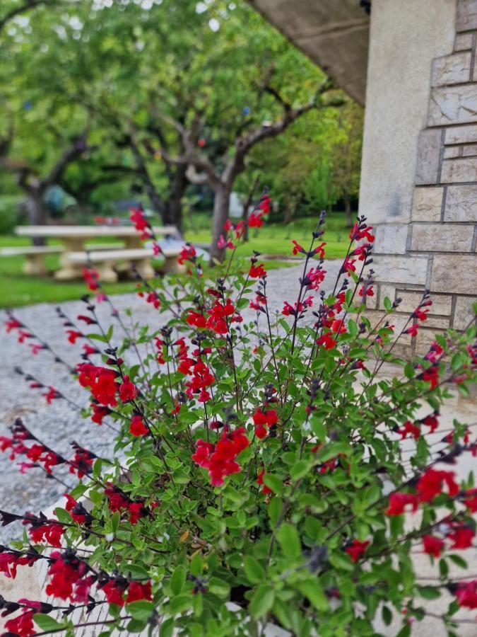 Gite L'Enclos O Rendez-Vous Roquefeuil-Pays De Sault- Avec Jardin Ngoại thất bức ảnh